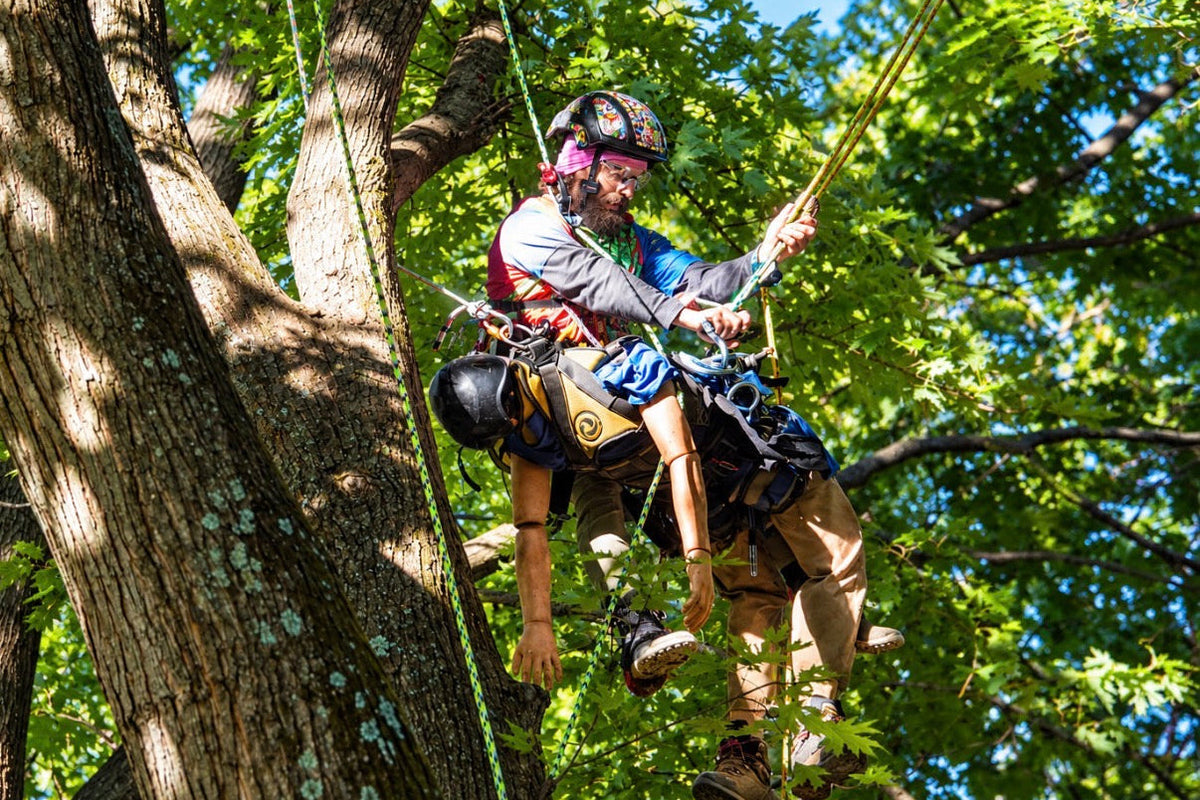 Hold Fast at the Indiana Tree Climbing Competition