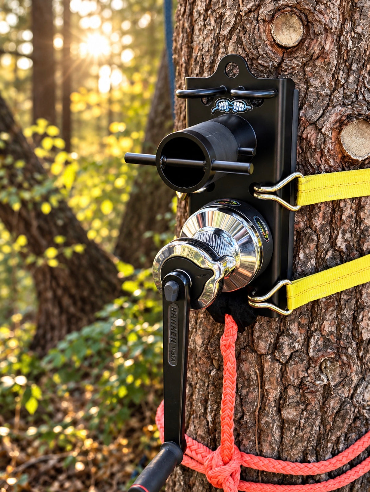 Hold Fast XL Mounted to Tree Side View