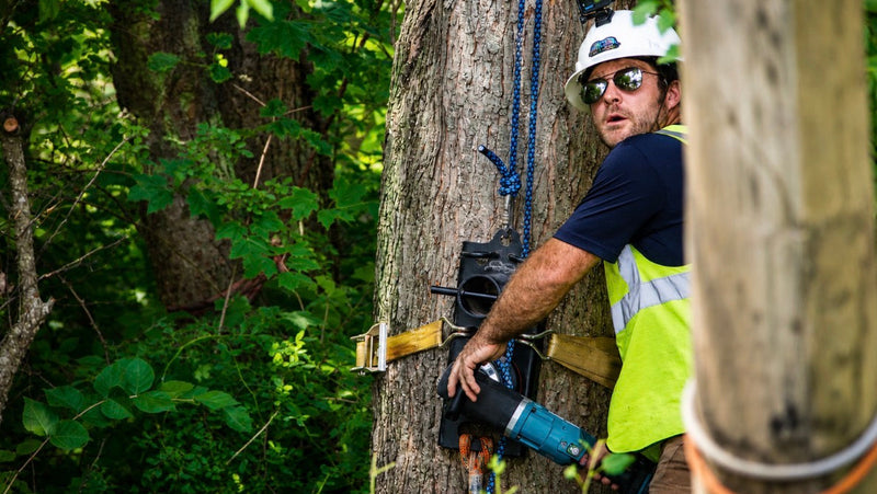 Hold Fast Rigging Systems
