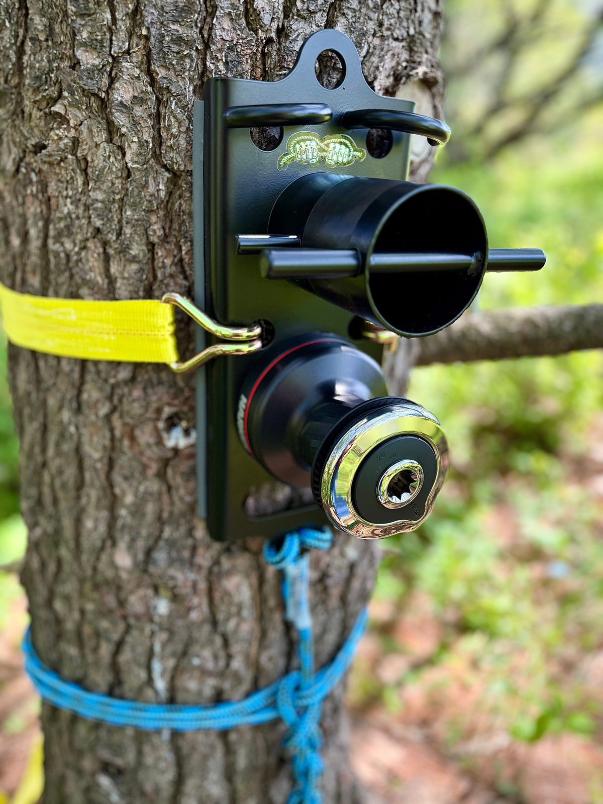 Hold Fast OG Rigging System on Tree