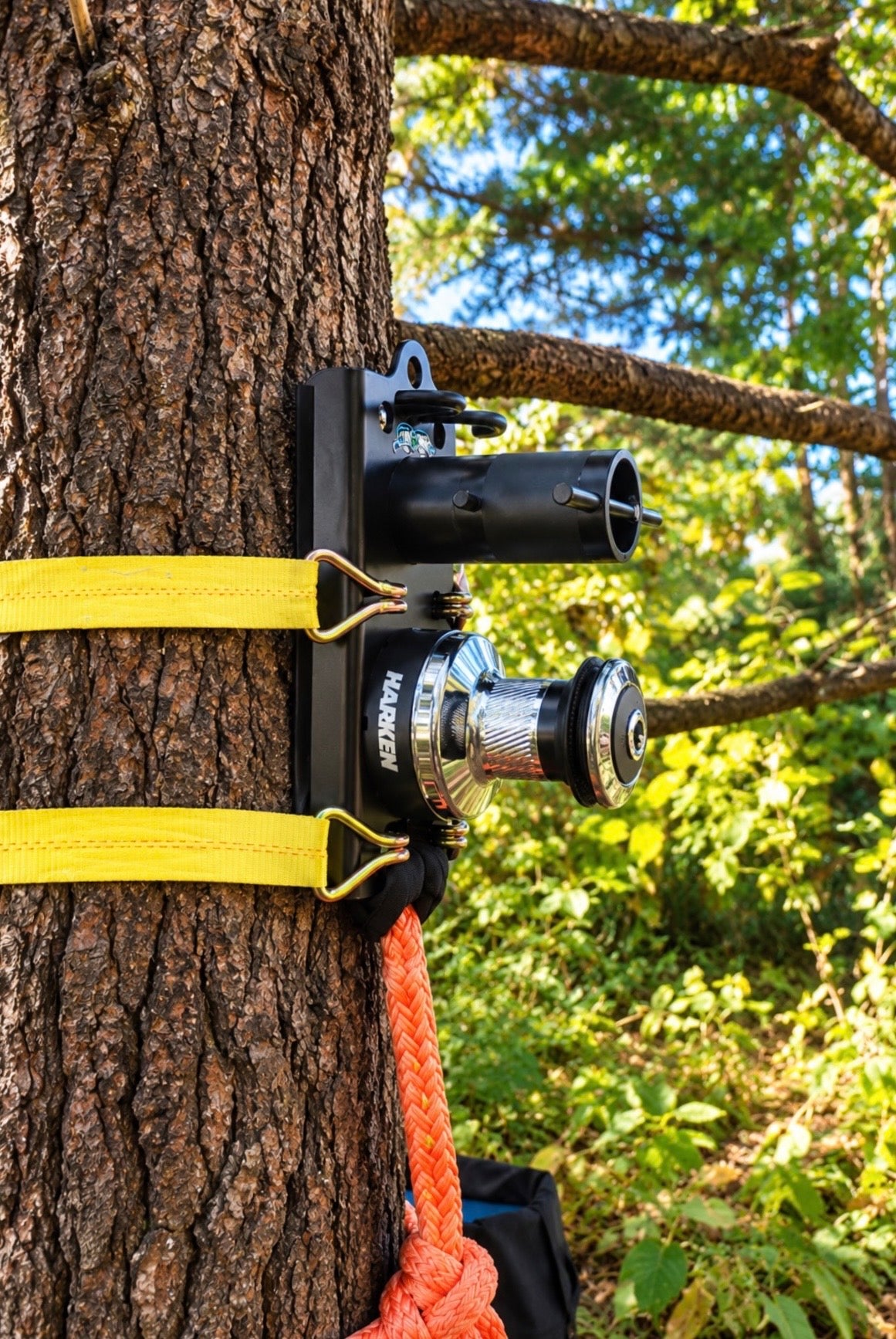 Hold Fast XL mounted to Tree with 2 ratchet straps and basal anchor sling