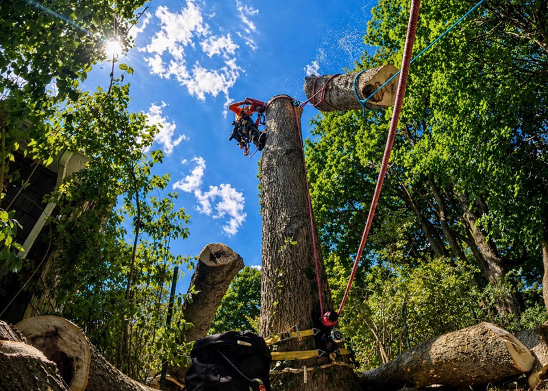 Hold Fast Rigging Systems